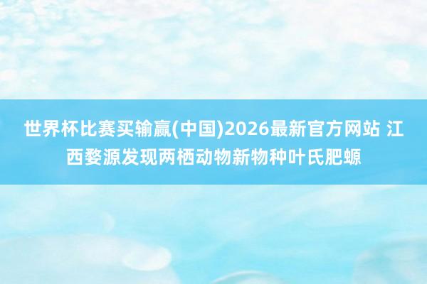 世界杯比赛买输赢(中国)2026最新官方网站 江西婺源发现两栖动物新物种叶氏肥螈