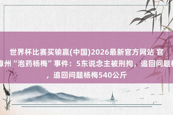 世界杯比赛买输赢(中国)2026最新官方网站 官方通报福建漳州“泡药杨梅”事件：5东说念主被刑拘，追回问题杨梅540公斤