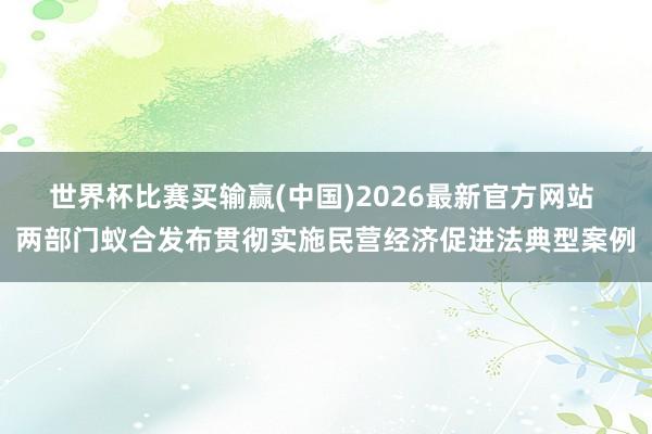 世界杯比赛买输赢(中国)2026最新官方网站 两部门蚁合发布贯彻实施民营经济促进法典型案例