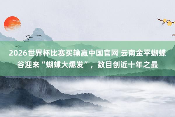 2026世界杯比赛买输赢中国官网 云南金平蝴蝶谷迎来“蝴蝶大爆发”，数目创近十年之最