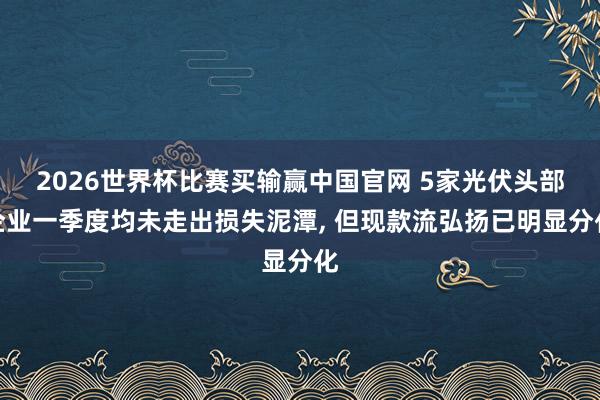 2026世界杯比赛买输赢中国官网 5家光伏头部企业一季度均未走出损失泥潭， 但现款流弘扬已明显分化