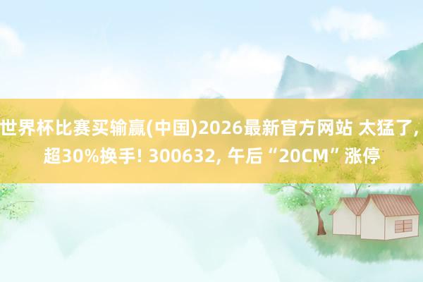 世界杯比赛买输赢(中国)2026最新官方网站 太猛了， 超30%换手! 300632， 午后“20CM”涨停