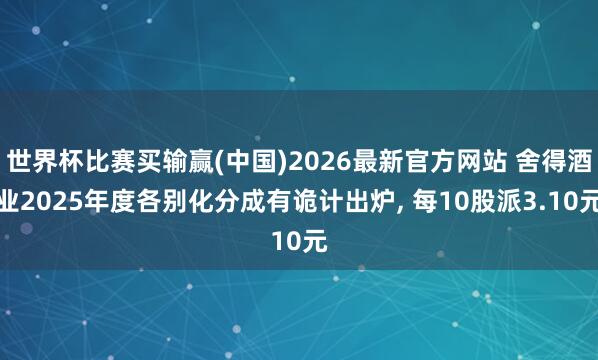 世界杯比赛买输赢(中国)2026最新官方网站 舍得酒业2025年度各别化分成有诡计出炉， 每10股派3.10元