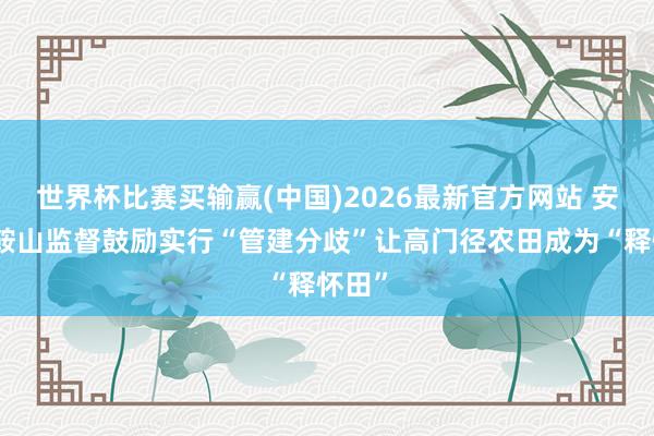 世界杯比赛买输赢(中国)2026最新官方网站 安徽马鞍山监督鼓励实行“管建分歧”让高门径农田成为“释怀田”