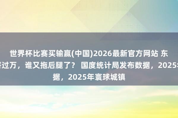 世界杯比赛买输赢(中国)2026最新官方网站 东谈主均月薪过万，谁又拖后腿了？ 国度统计局发布数据，2025年寰球城镇