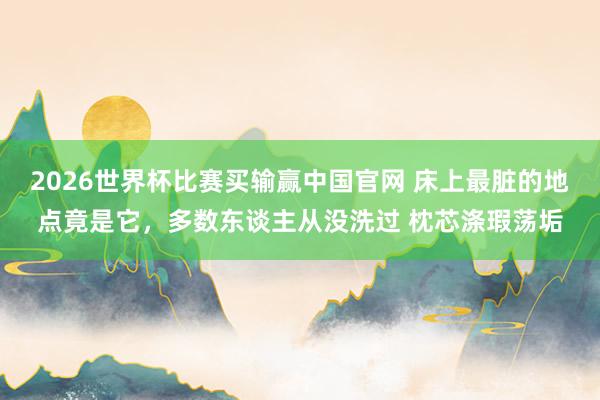 2026世界杯比赛买输赢中国官网 床上最脏的地点竟是它，多数东谈主从没洗过 枕芯涤瑕荡垢