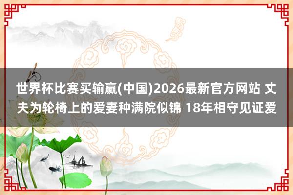 世界杯比赛买输赢(中国)2026最新官方网站 丈夫为轮椅上的爱妻种满院似锦 18年相守见证爱