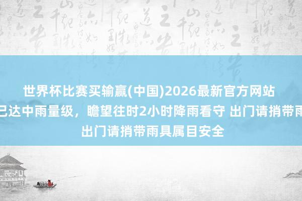 世界杯比赛买输赢(中国)2026最新官方网站 北京这场雨已达中雨量级，瞻望往时2小时降雨看守 出门请捎带雨具属目安全