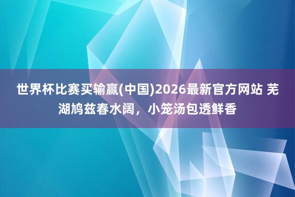 世界杯比赛买输赢(中国)2026最新官方网站 芜湖鸠兹春水阔，小笼汤包透鲜香