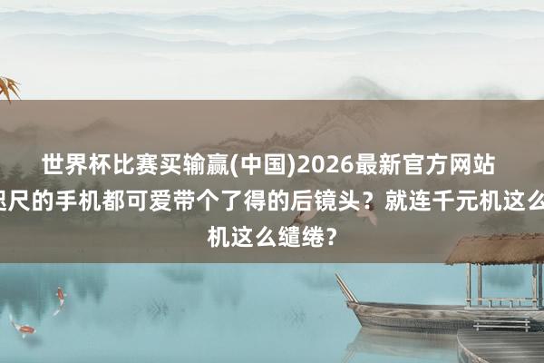 世界杯比赛买输赢(中国)2026最新官方网站 为啥咫尺的手机都可爱带个了得的后镜头？就连千元机这么缱绻？