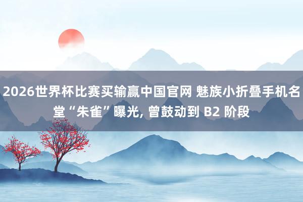 2026世界杯比赛买输赢中国官网 魅族小折叠手机名堂“朱雀”曝光， 曾鼓动到 B2 阶段