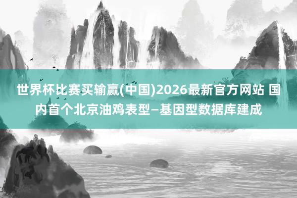 世界杯比赛买输赢(中国)2026最新官方网站 国内首个北京油鸡表型—基因型数据库建成