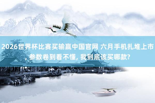 2026世界杯比赛买输赢中国官网 六月手机扎堆上市， 参数卷到看不懂， 我到底该买哪款?