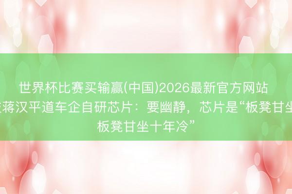 世界杯比赛买输赢(中国)2026最新官方网站 芯擎科技蒋汉平道车企自研芯片：要幽静，芯片是“板凳甘坐十年冷”