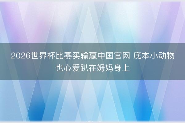 2026世界杯比赛买输赢中国官网 底本小动物也心爱趴在姆妈身上