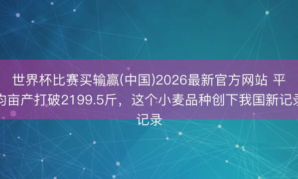 世界杯比赛买输赢(中国)2026最新官方网站 平均亩产打破2199.5斤，这个小麦品种创下我国新记录