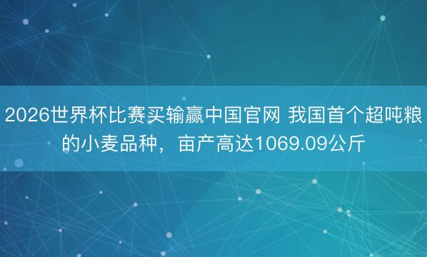 2026世界杯比赛买输赢中国官网 我国首个超吨粮的小麦品种，亩产高达1069.09公斤