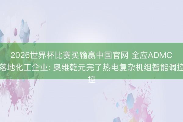 2026世界杯比赛买输赢中国官网 全应ADMC落地化工企业: 奥维乾元完了热电复杂机组智能调控